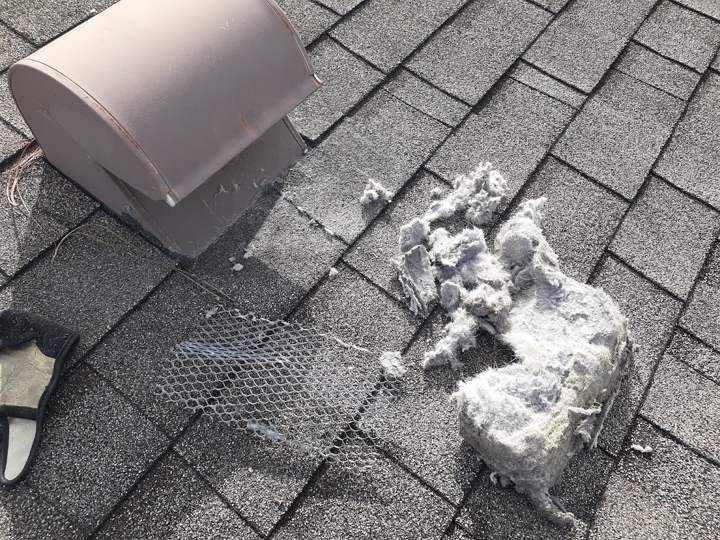 Lint pulled from a clogged roof dryer vent
